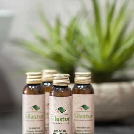 El Séptimo, Appartamento Gijón